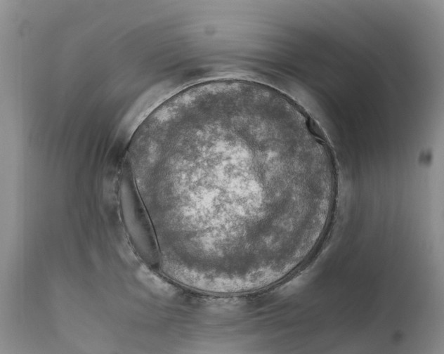 X0000110891001200907161521