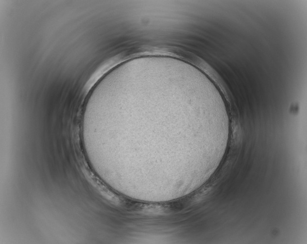 X0000110891002200907161521