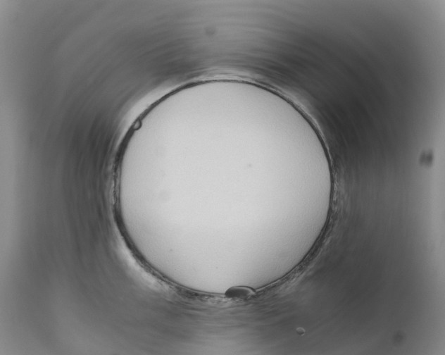 X0000110891003200907161521