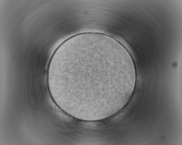 X0000110891004200907161521