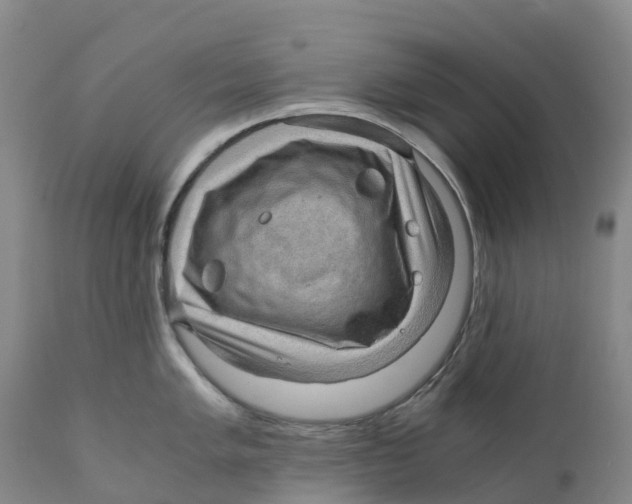 X0000110891005200907161521