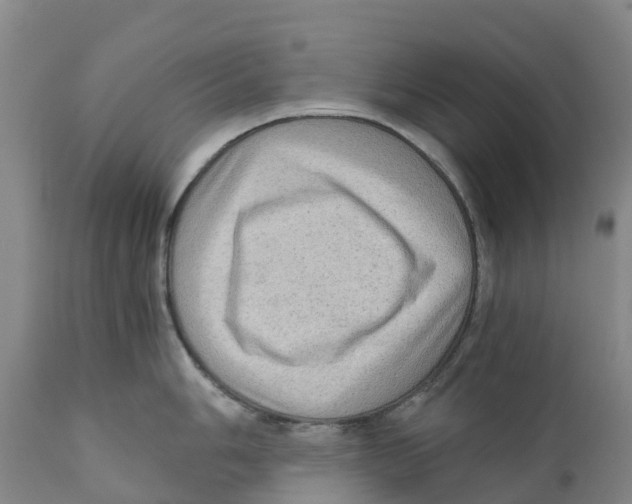 X0000110891006200907161521