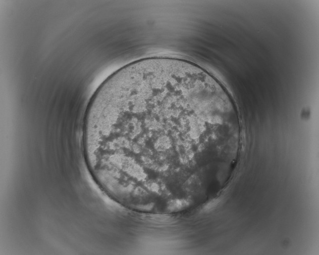 X0000110891007200907161521