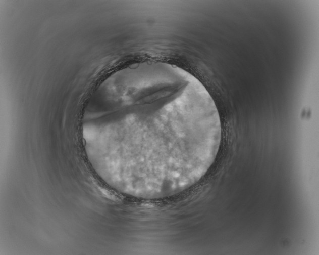 X0000110891009200907161520