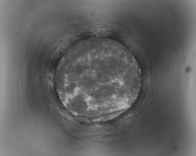 X0000110891010200907161520