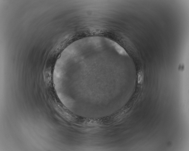 X0000110891011200907161520