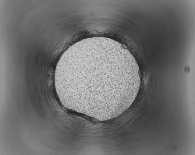 X0000110891012200907161520