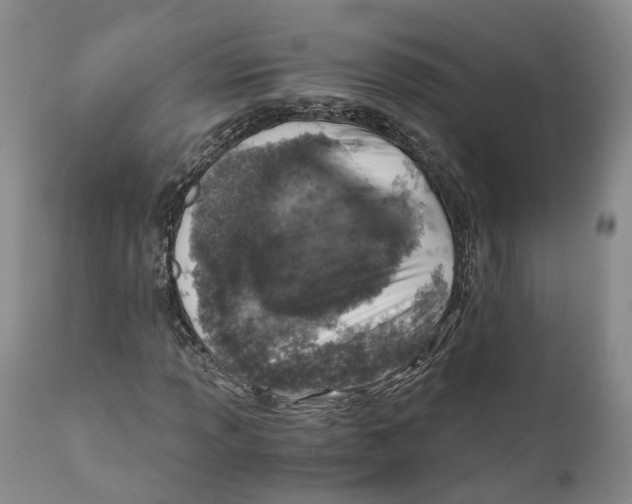 X0000110891013200907161520