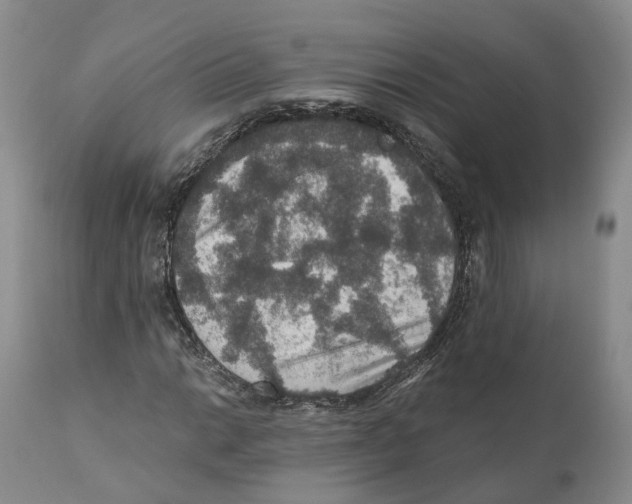 X0000110891014200907161520