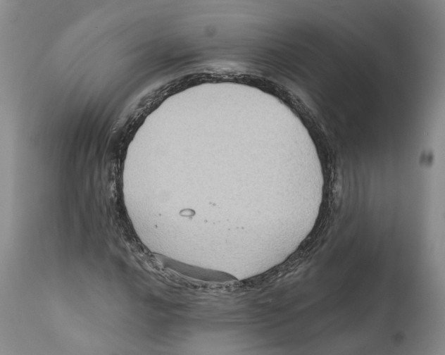 X0000110891016200907161521