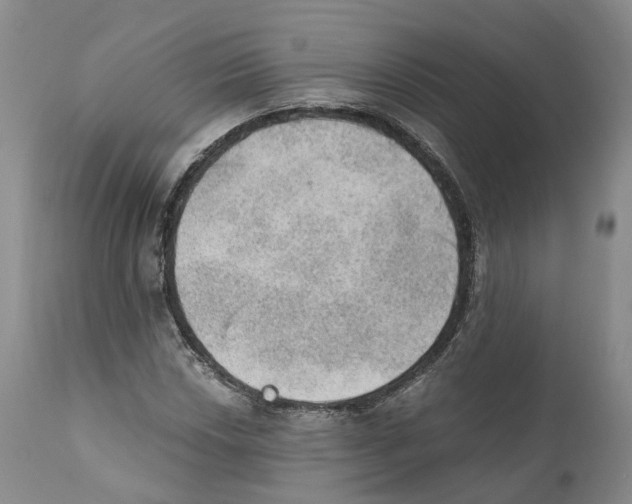 X0000110891018200907161521