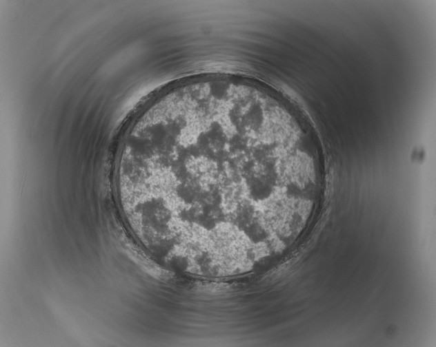 X0000110891019200907161521