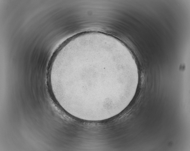 X0000110891020200907161521