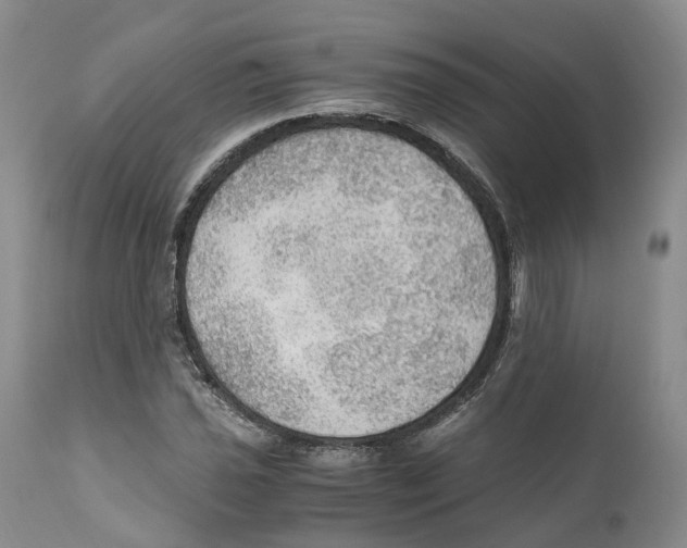 X0000110891021200907161521