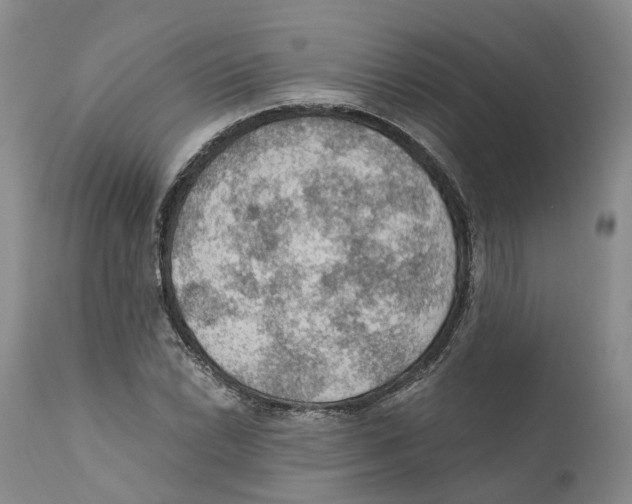 X0000110891022200907161521