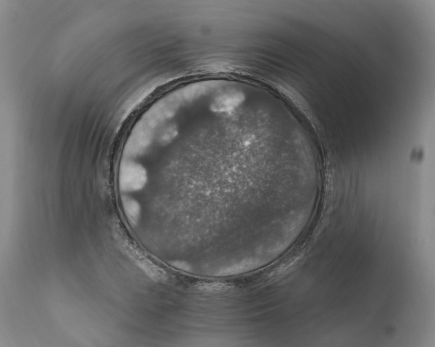 X0000110891023200907161521