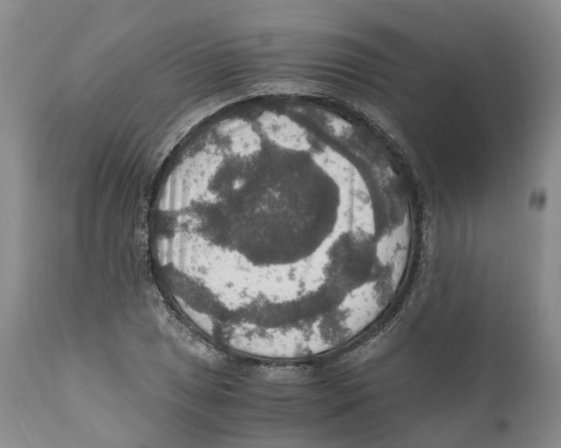 X0000110891025200907161521