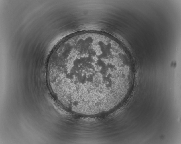 X0000110891027200907161521