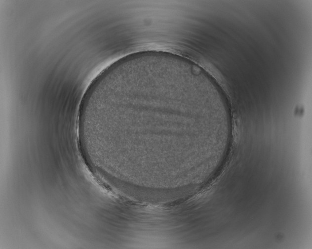 X0000110891028200907161521