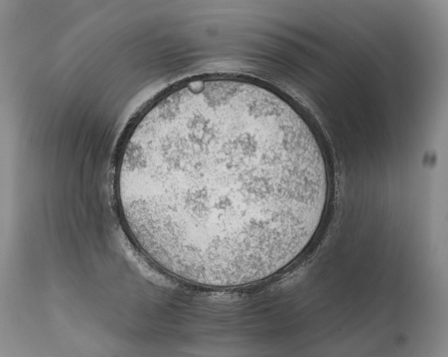 X0000110891029200907161521