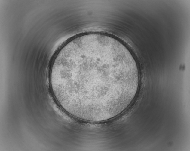 X0000110891030200907161521