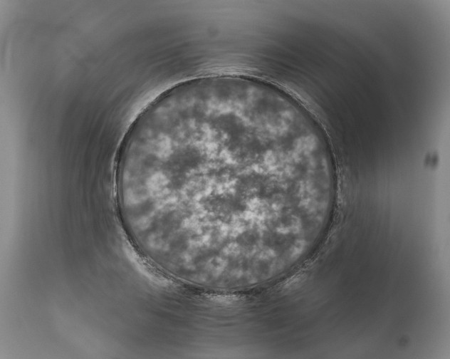 X0000110891031200907161521