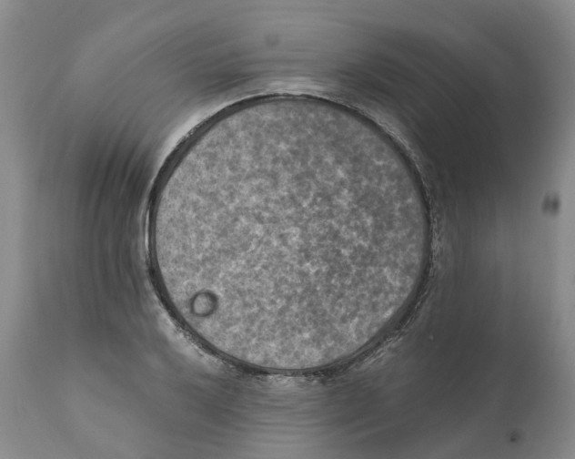 X0000110891032200907161521