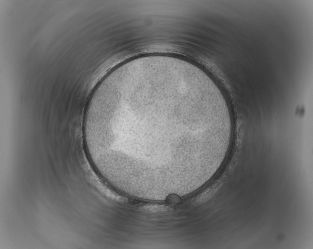 X0000110891033200907161521