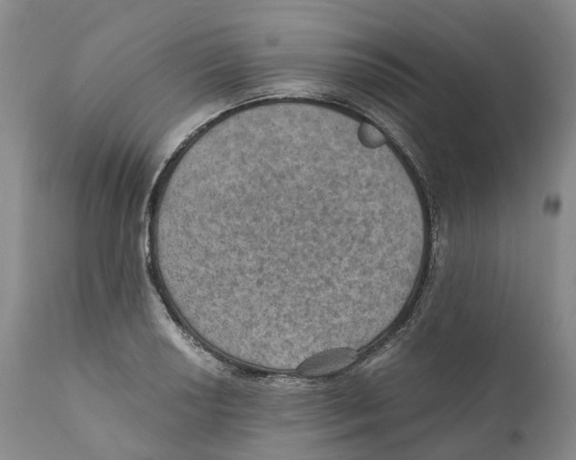 X0000110891034200907161521