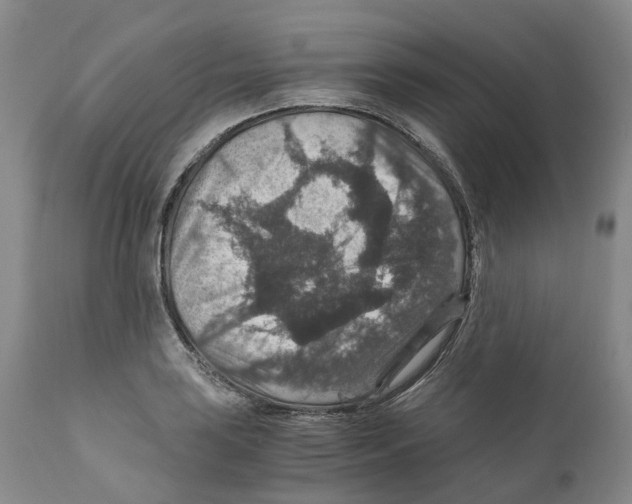 X0000110891035200907161521