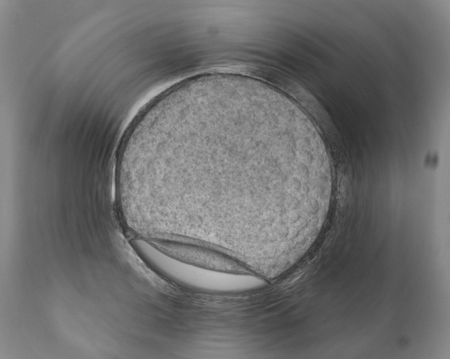 X0000110891036200907161521