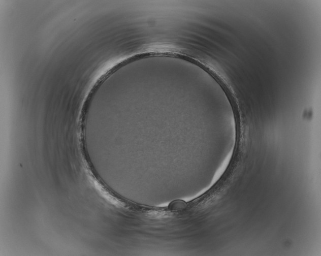 X0000110891037200907161521