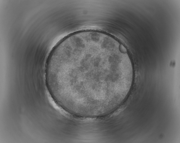 X0000110891038200907161521