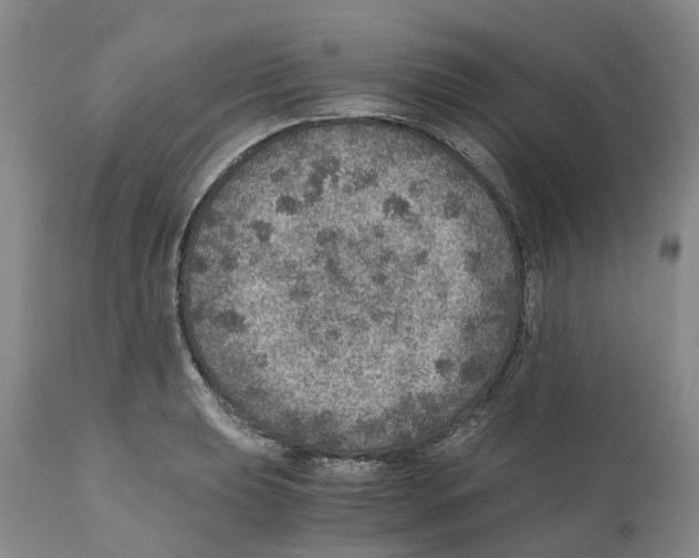 X0000110891039200907161521