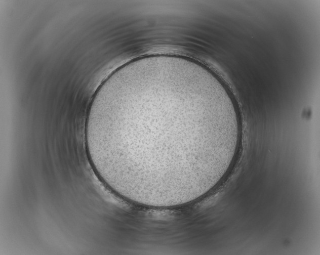 X0000110891041200907161521