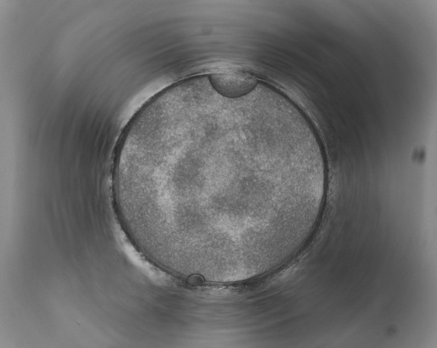 X0000110891042200907161521