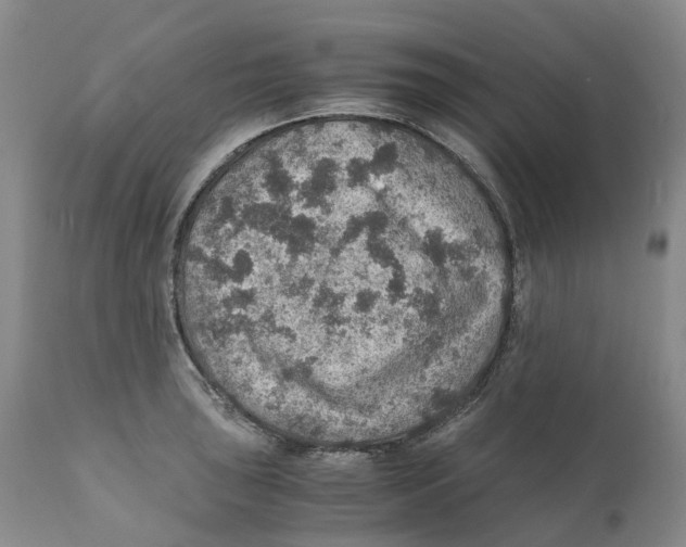 X0000110891043200907161521