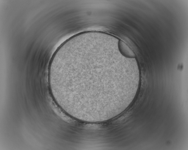 X0000110891044200907161521