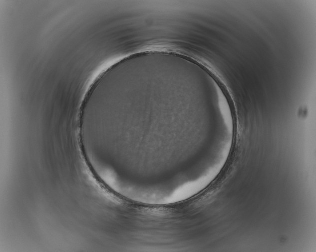 X0000110891045200907161521