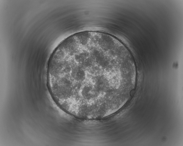 X0000110891046200907161521