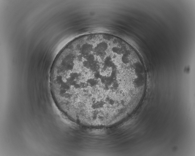 X0000110891047200907161521