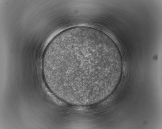 X0000110891048200907161521