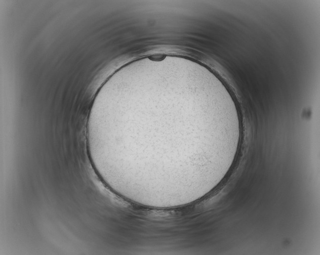 X0000110891049200907161521