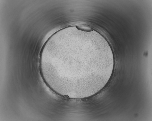 X0000110891050200907161521