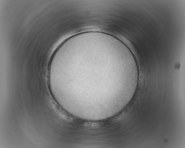 X0000110891051200907161521