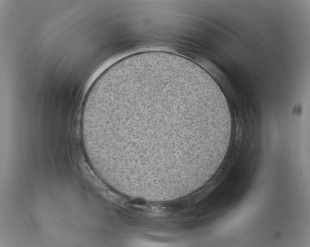 X0000110891052200907161521