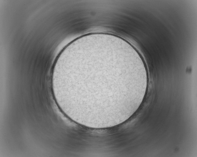 X0000110891053200907161521