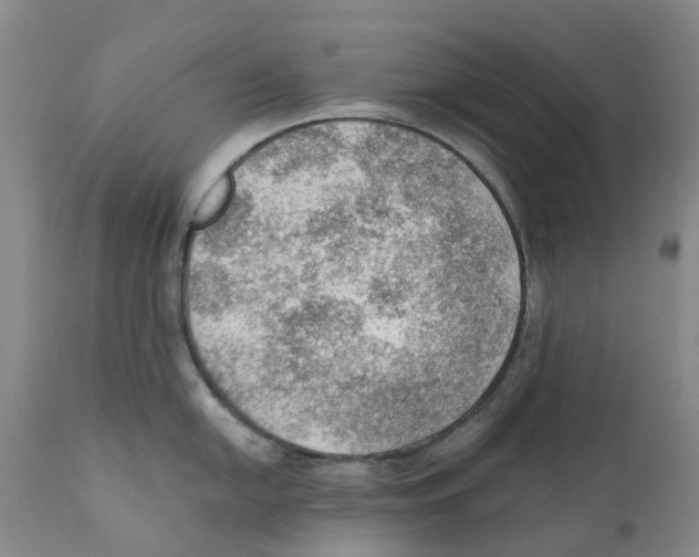 X0000110891054200907161521