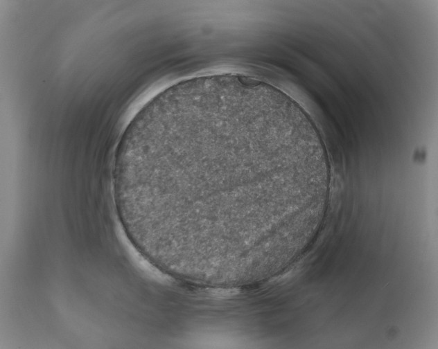 X0000110891055200907161521