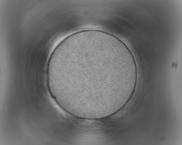 X0000110891056200907161521